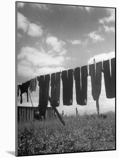 Laundry Hanging Out to Dry-Nina Leen-Mounted Photographic Print