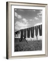 Laundry Hanging Out to Dry-Nina Leen-Framed Photographic Print