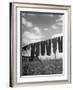 Laundry Hanging Out to Dry-Nina Leen-Framed Photographic Print