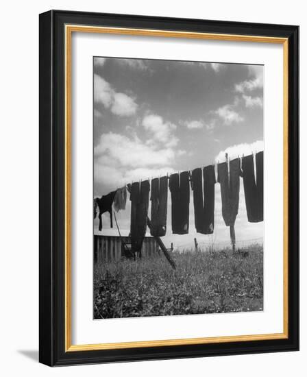 Laundry Hanging Out to Dry-Nina Leen-Framed Photographic Print