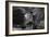 Laundry-Asit-Framed Photographic Print