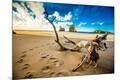 Photographic Print