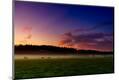 Photographic Print