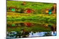 Photographic Print