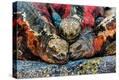 Stretched Canvas Print