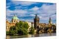 Photographic Print