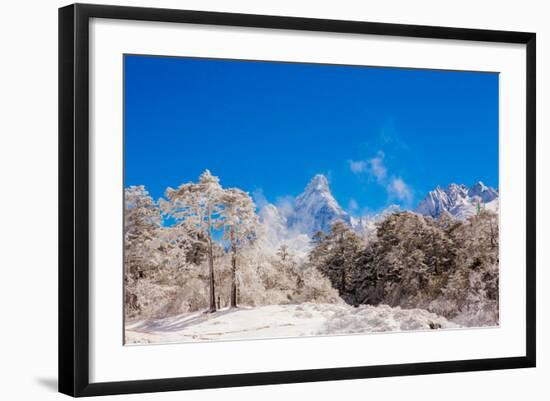 Photographic Print, , large