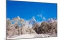 Photographic Print