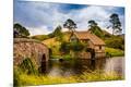 Photographic Print