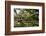 Laura' Historic Antebellum Creole Plantation House, Louisiana, USA-Cindy Miller Hopkins-Framed Photographic Print