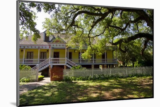 Laura' Historic Antebellum Creole Plantation House, Louisiana, USA-Cindy Miller Hopkins-Mounted Photographic Print