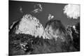 Photographic Print
