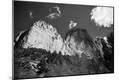 Photographic Print