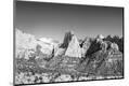 Photographic Print