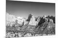 Photographic Print