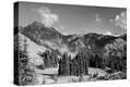 Stretched Canvas Print