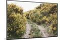 Photographic Print