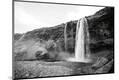Photographic Print
