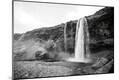Photographic Print