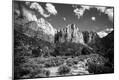 Photographic Print