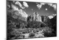 Photographic Print