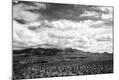 Photographic Print