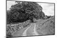 Photographic Print