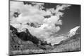Photographic Print