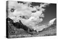 Stretched Canvas Print
