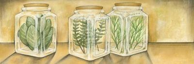 Spice Jars I-Laura Nathan-Framed Stretched Canvas