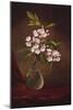 Laurel Blossoms in a Vase-Martin Johnson Heade-Mounted Giclee Print