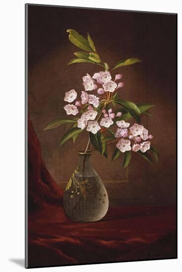 Laurel Blossoms in a Vase-Martin Johnson Heade-Mounted Giclee Print