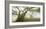 Laurel forest in fog, Madeira, Portugal-Frank Krahmer-Framed Giclee Print