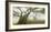 Laurel forest in fog, Madeira, Portugal-Frank Krahmer-Framed Giclee Print