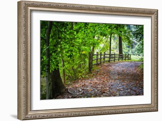 Laurels Pathway-Robert Lott-Framed Art Print