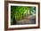 Laurels Pathway-Robert Lott-Framed Art Print