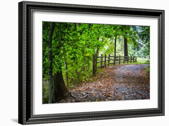 Laurels Pathway-Robert Lott-Framed Art Print