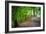 Laurels Pathway-Robert Lott-Framed Art Print