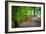 Laurels Pathway-Robert Lott-Framed Art Print