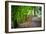 Laurels Pathway-Robert Lott-Framed Art Print