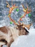 Christmas Lights Reindeer-Lauren Rader-Stretched Canvas