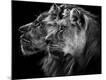 Photographic Print
