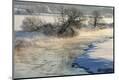 Premium Photographic Print