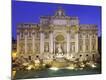 Photographic Print