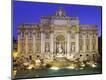 Photographic Print