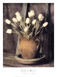 Tulips on Bench-Laurie Eastwood-Framed Art Print