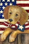 4th of July-Laurie Korsgaden-Giclee Print