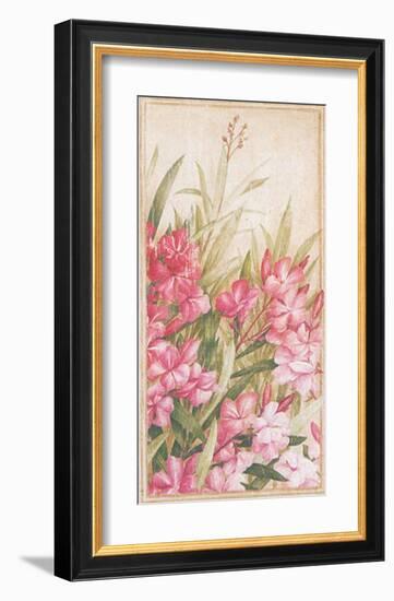 Laurier Rose I-Vincent Jeannerot-Framed Art Print