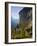 Lauterbrunnen Church, Berner Oberland, Switzerland-Doug Pearson-Framed Photographic Print