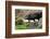 Lava Cave Laugardalur, Sheep-Catharina Lux-Framed Photographic Print